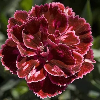Фото 2