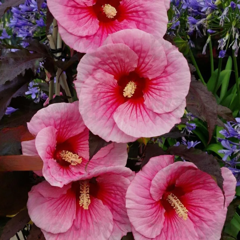 Фото 2