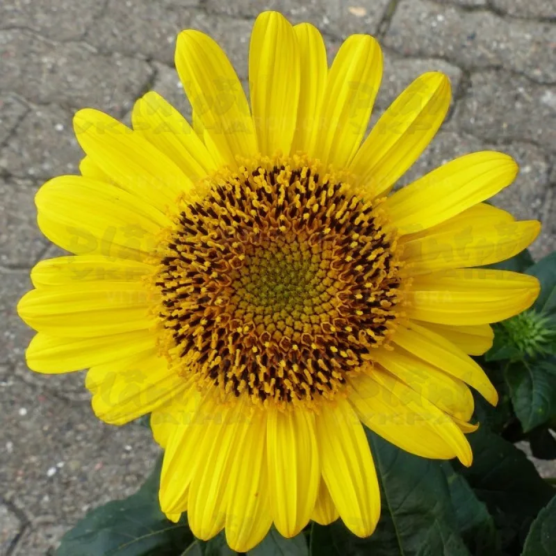 Фото 2
