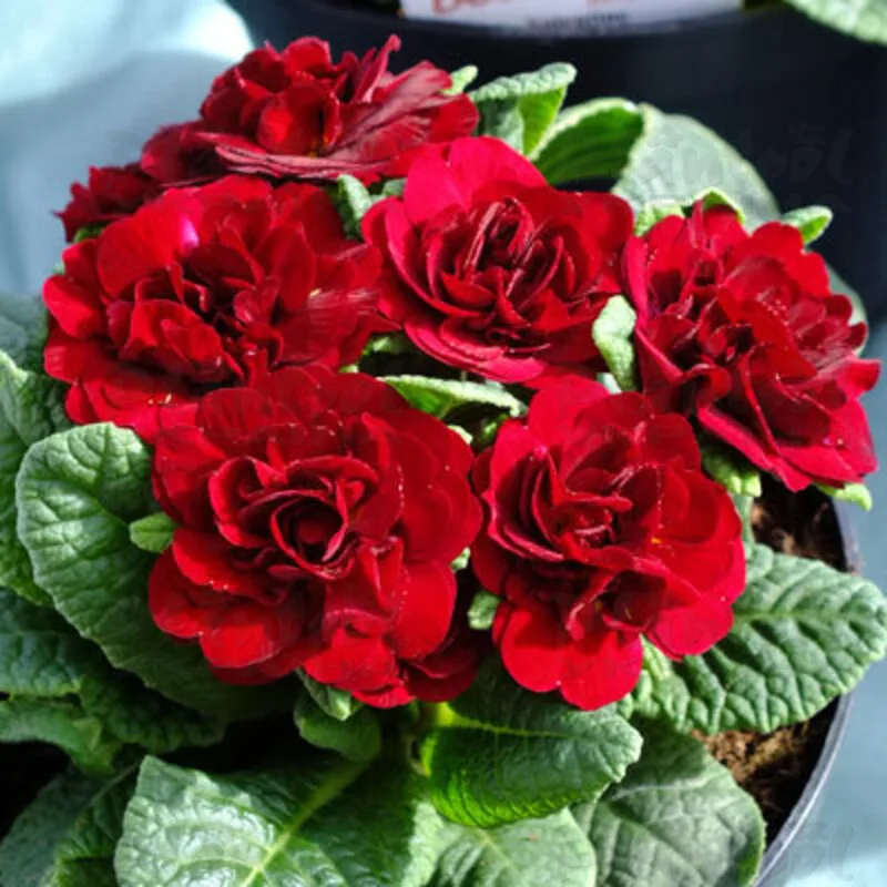 Фото 3