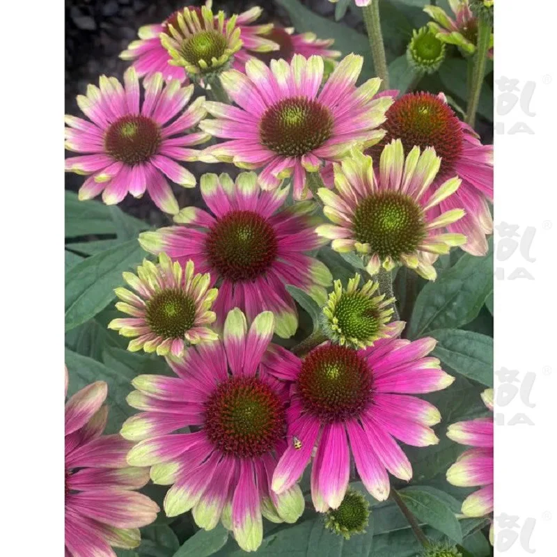 Фото 2