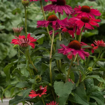 Фото 2