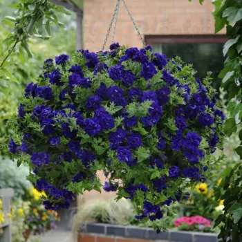 Фото 2