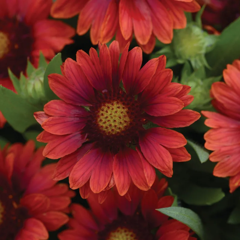 Фото 2