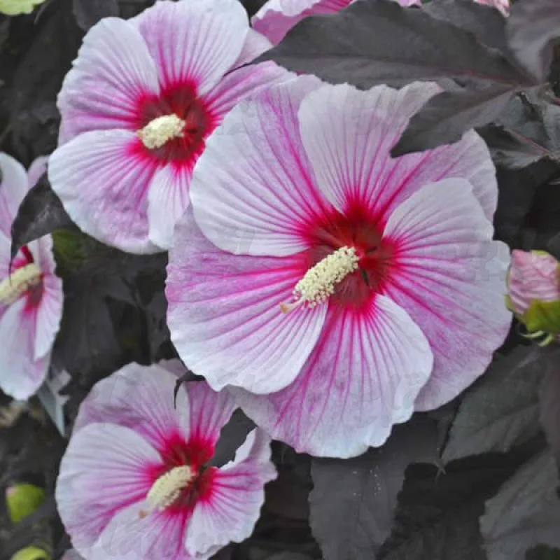 Фото 2