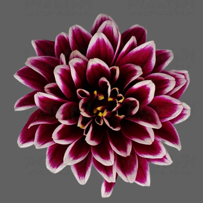 Фото 2