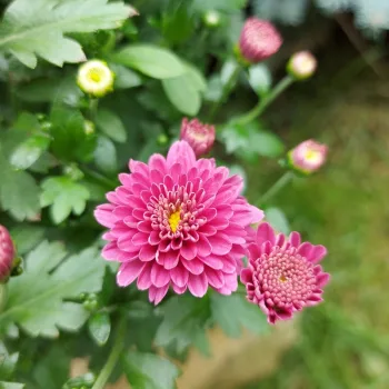 Фото 6