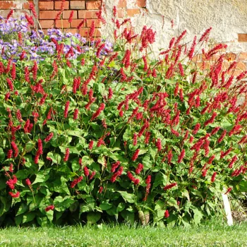 Фото 1