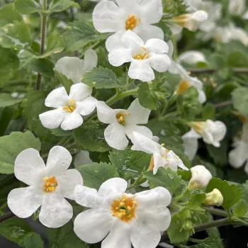 Фото 6