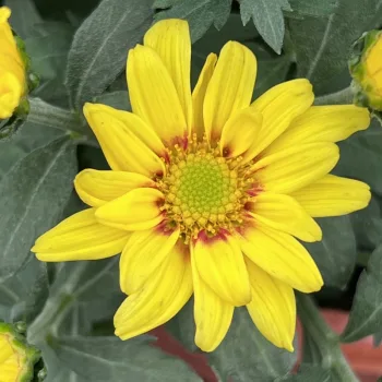 Фото 6