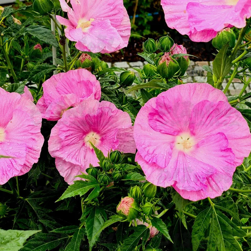 Фото 2