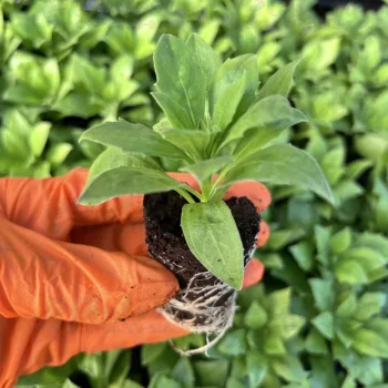 Фото 3