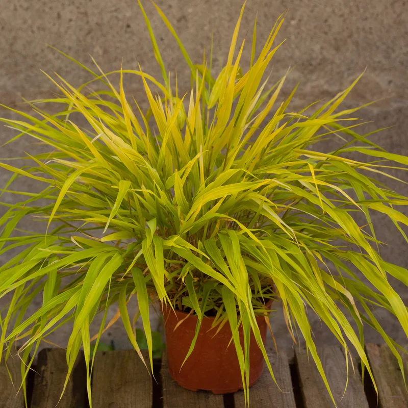 Фото 2