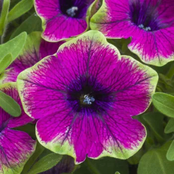 Фото 3