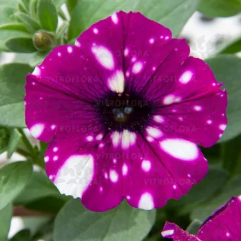 Фото 2