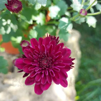 Фото 6