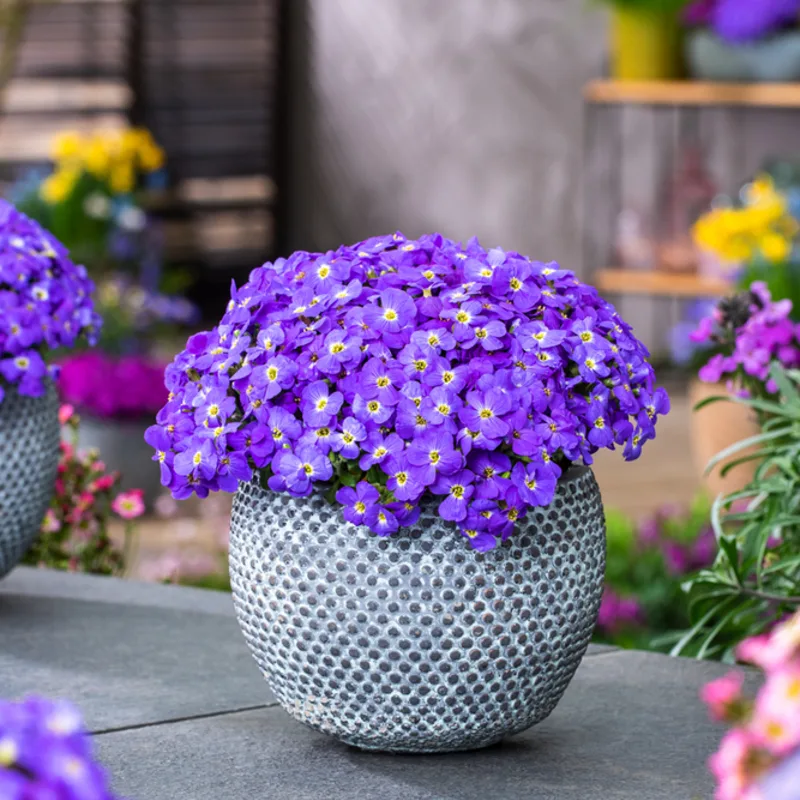 Фото 3
