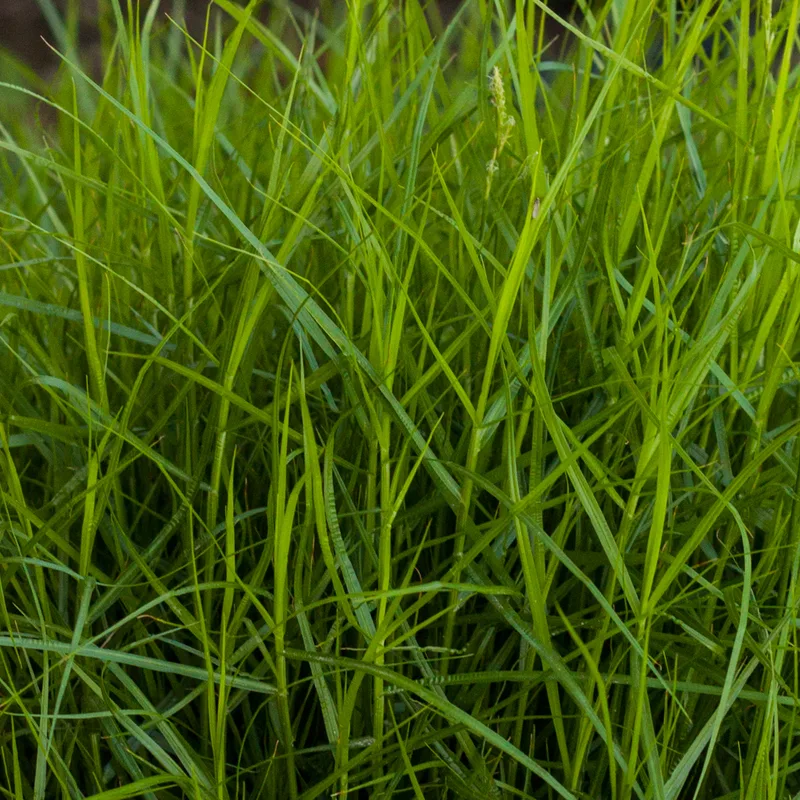Фото 1