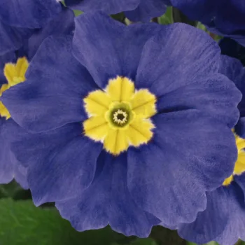 Фото 3