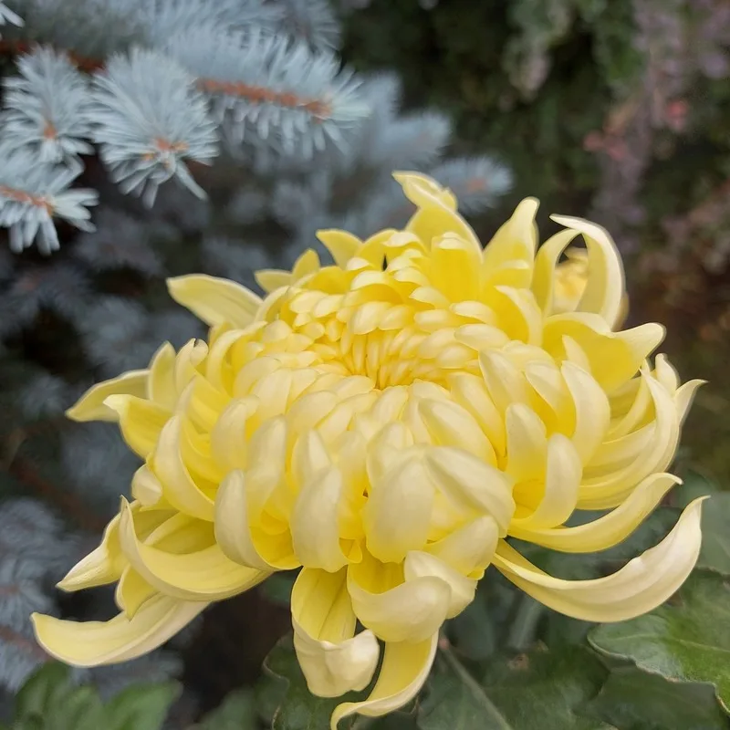 Фото 2