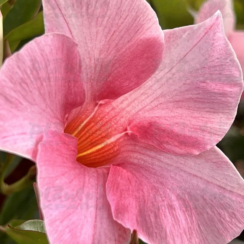 Фото 3