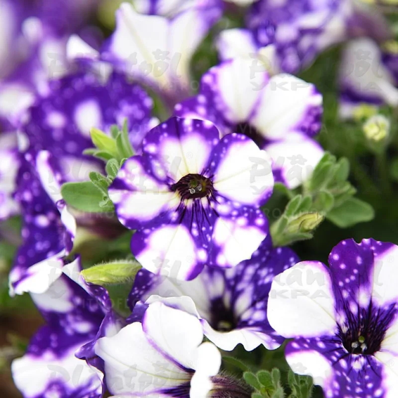 Фото 2