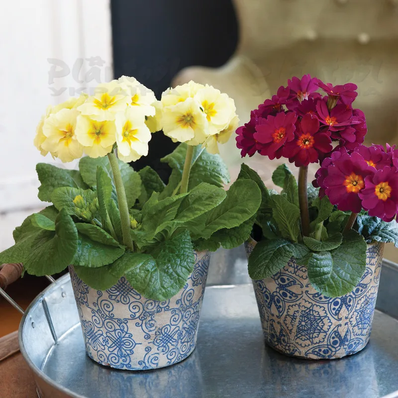 Фото 3