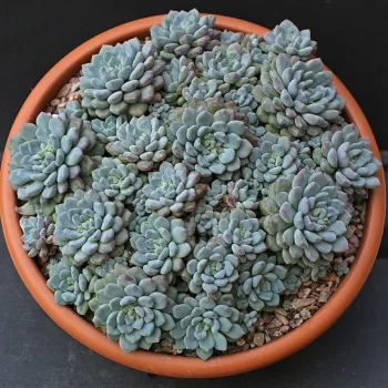 Фото 2