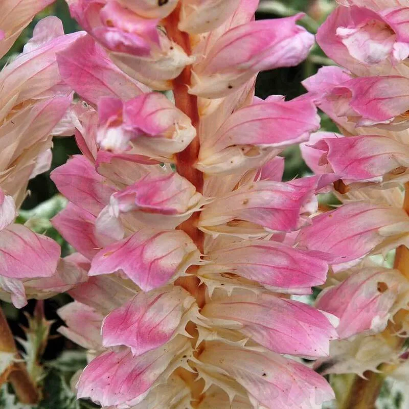 Фото 2