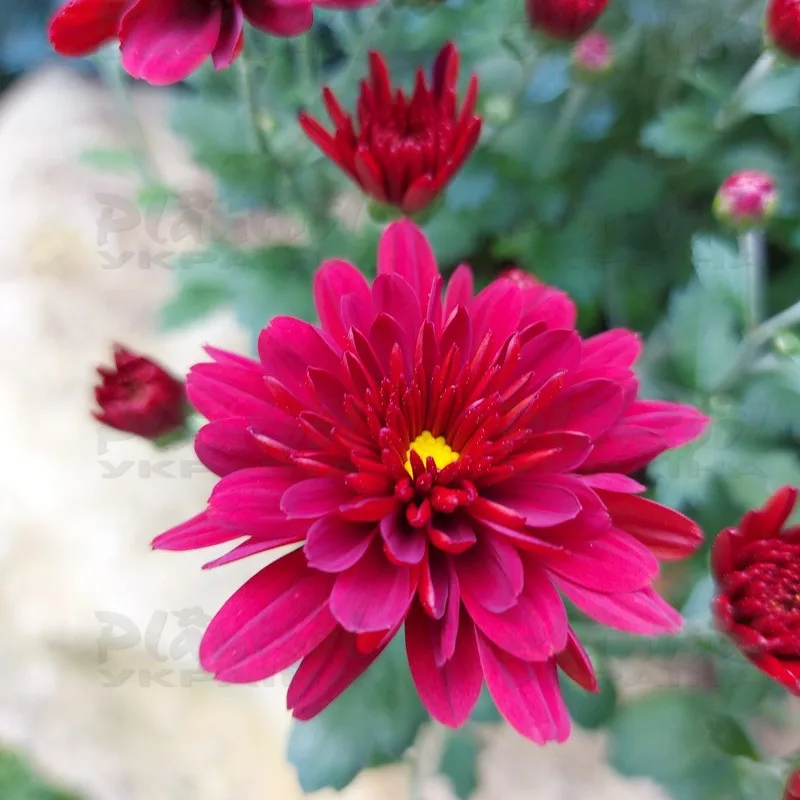 Фото 2
