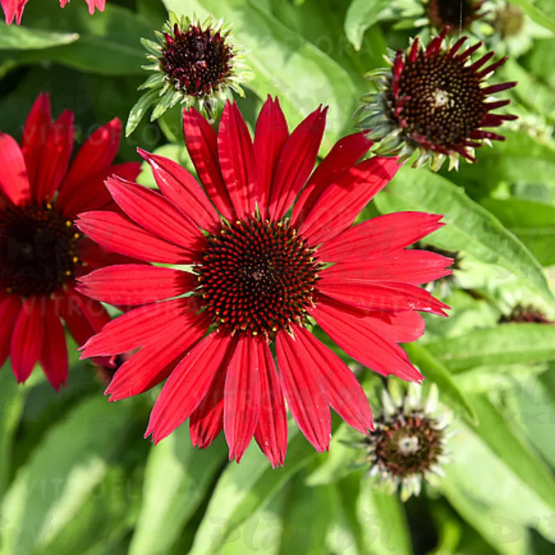 Фото 1