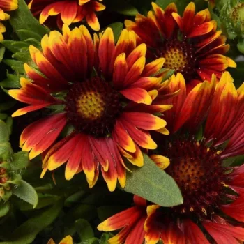 Фото 2