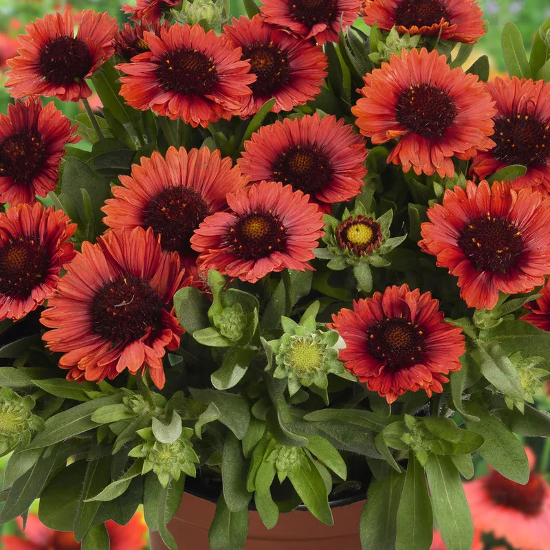 Фото 2