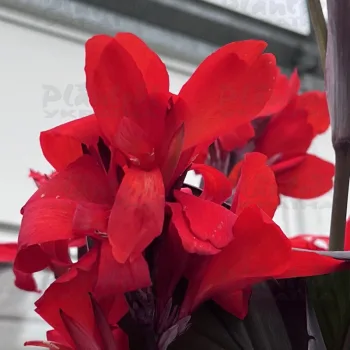 Фото 2