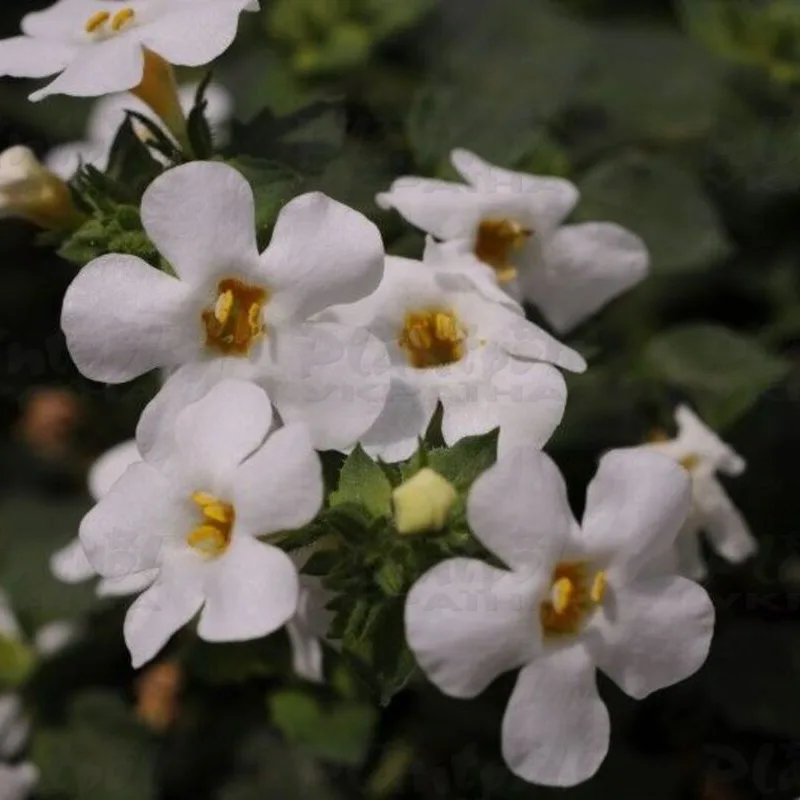 Фото 2