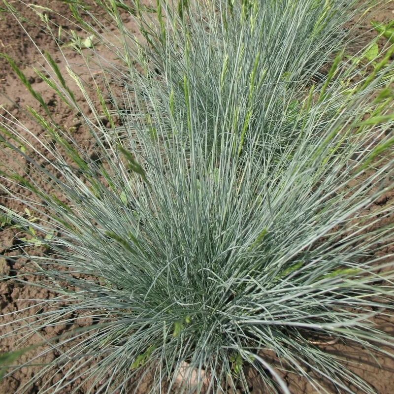 Фото 1