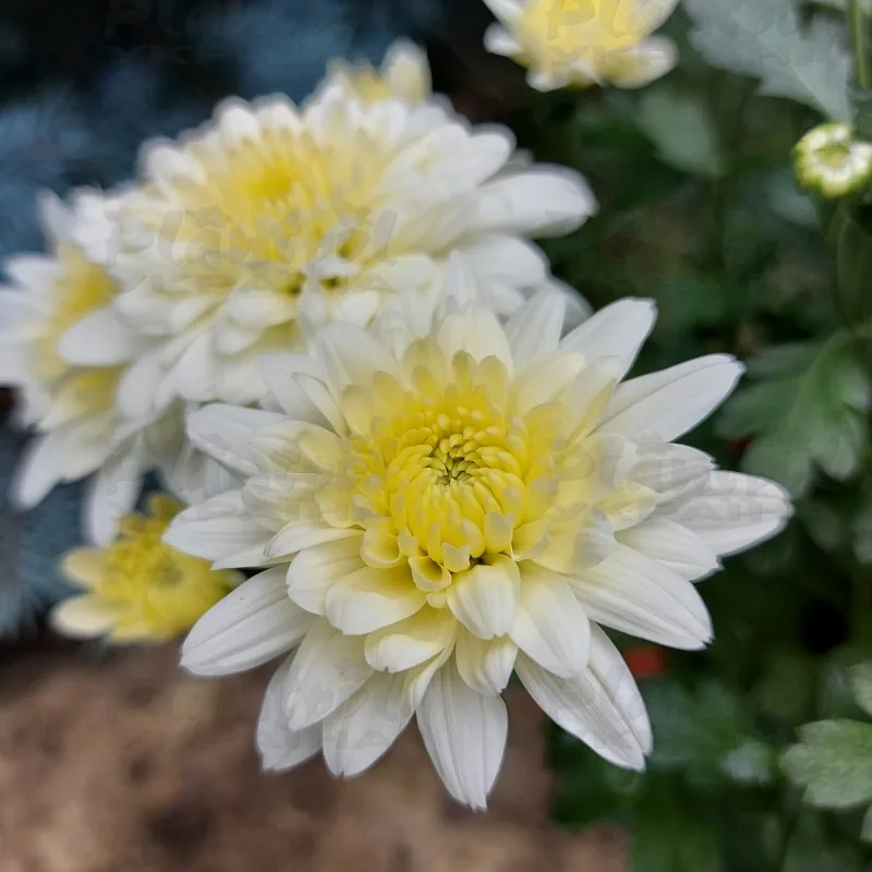Фото 6