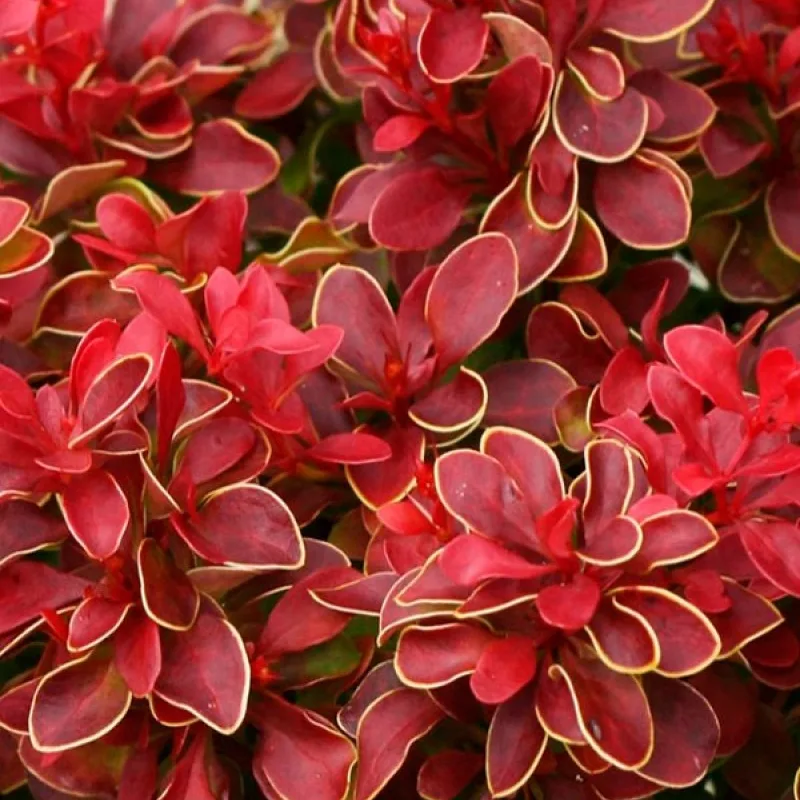 Фото 2