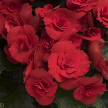 Фото 2