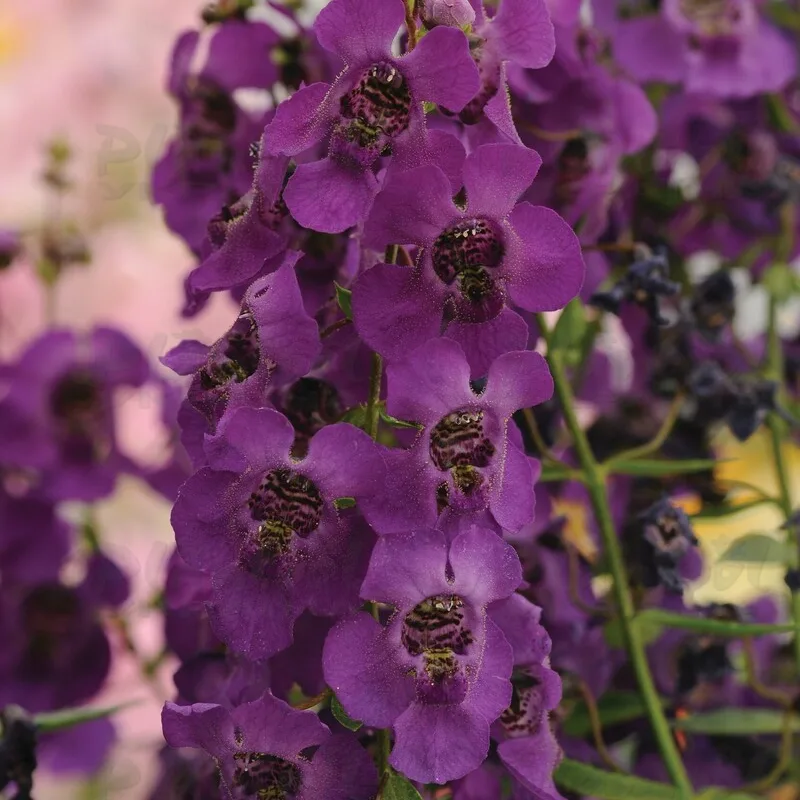 Фото 2