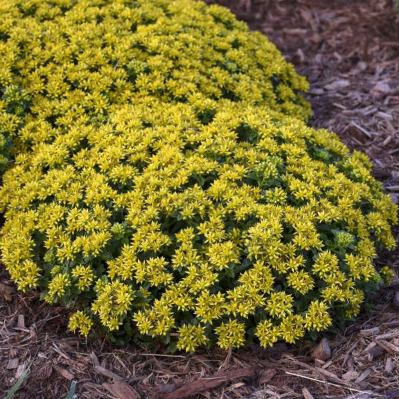 Фото 1