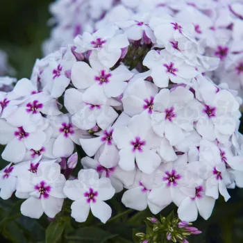 Фото 2