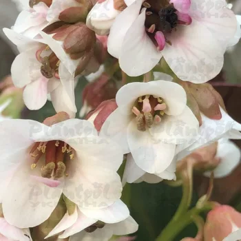 Фото 2