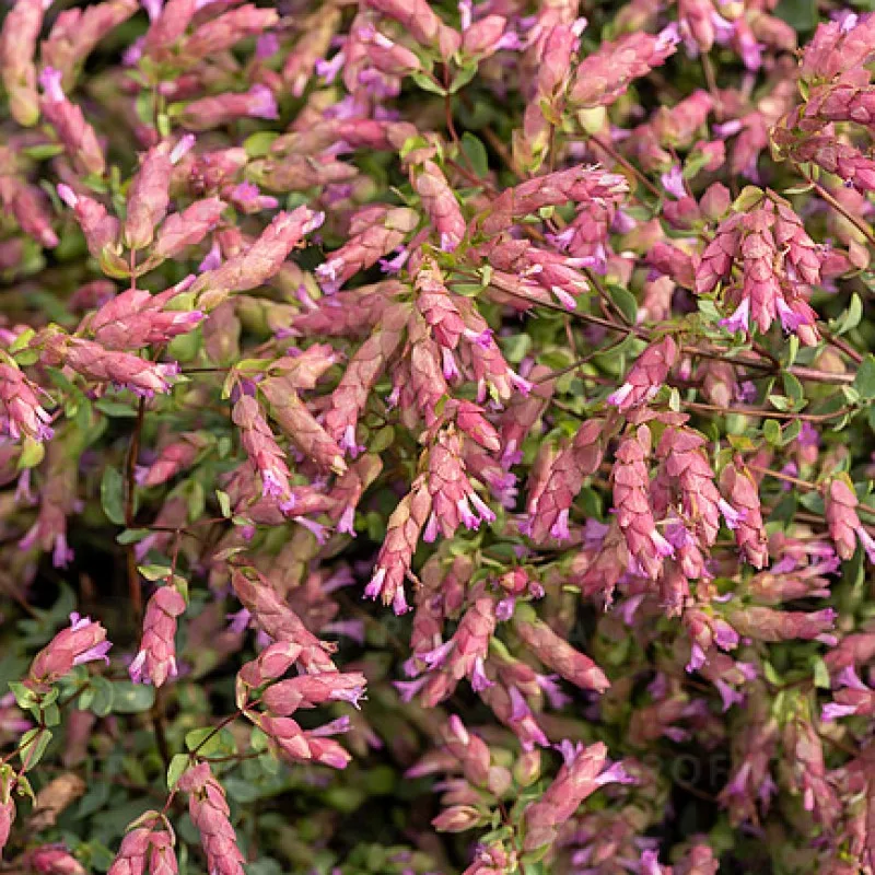 Фото 1