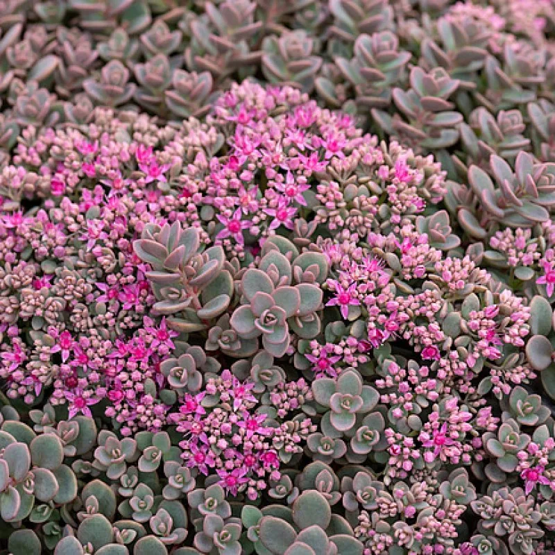 Фото 1