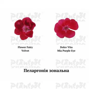 Фото 3