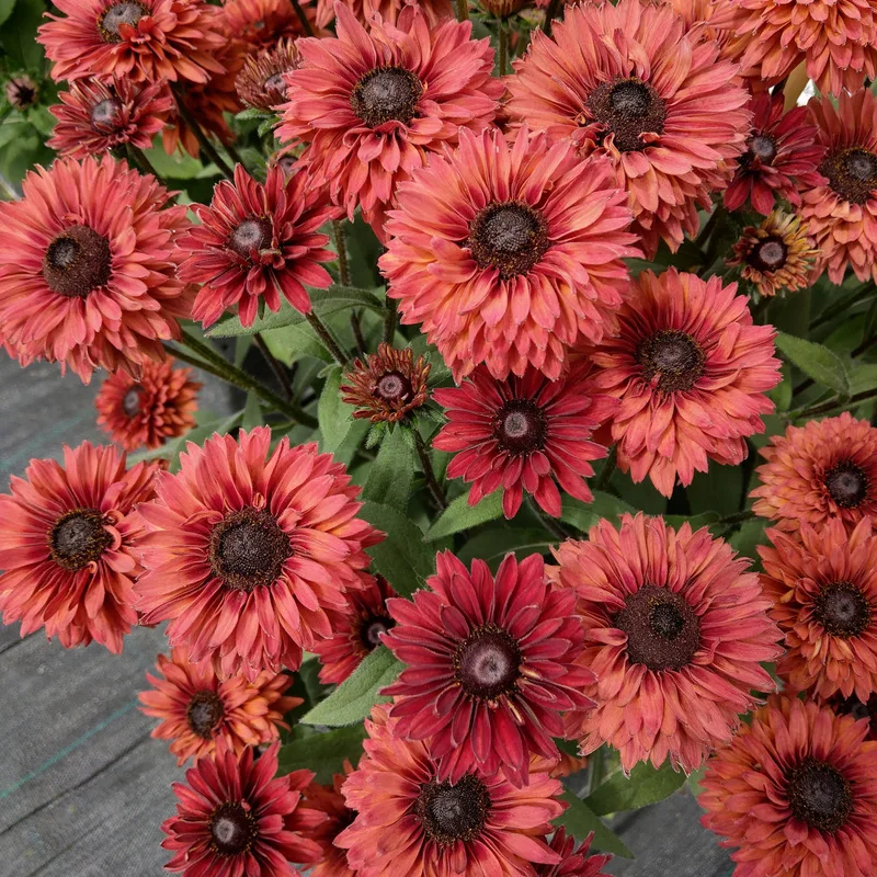 Фото 1