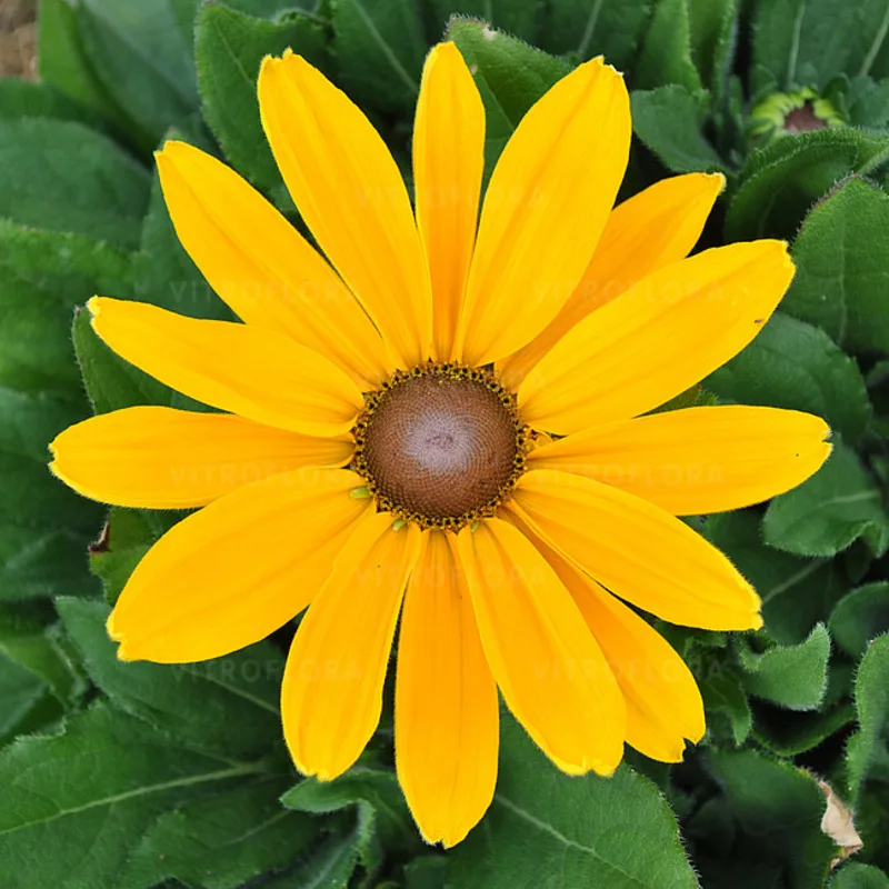 Фото 1