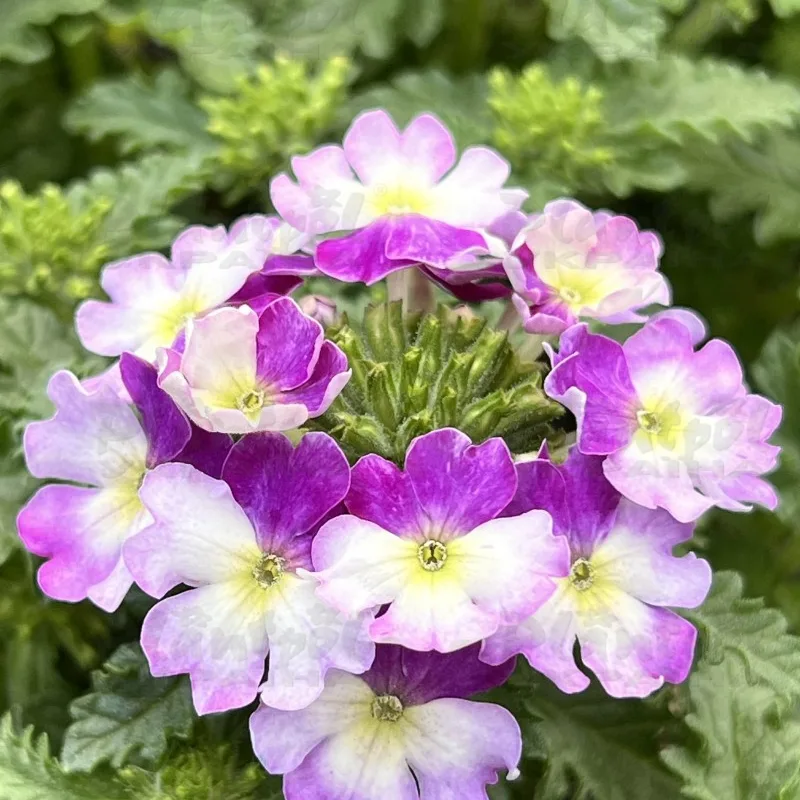 Фото 2