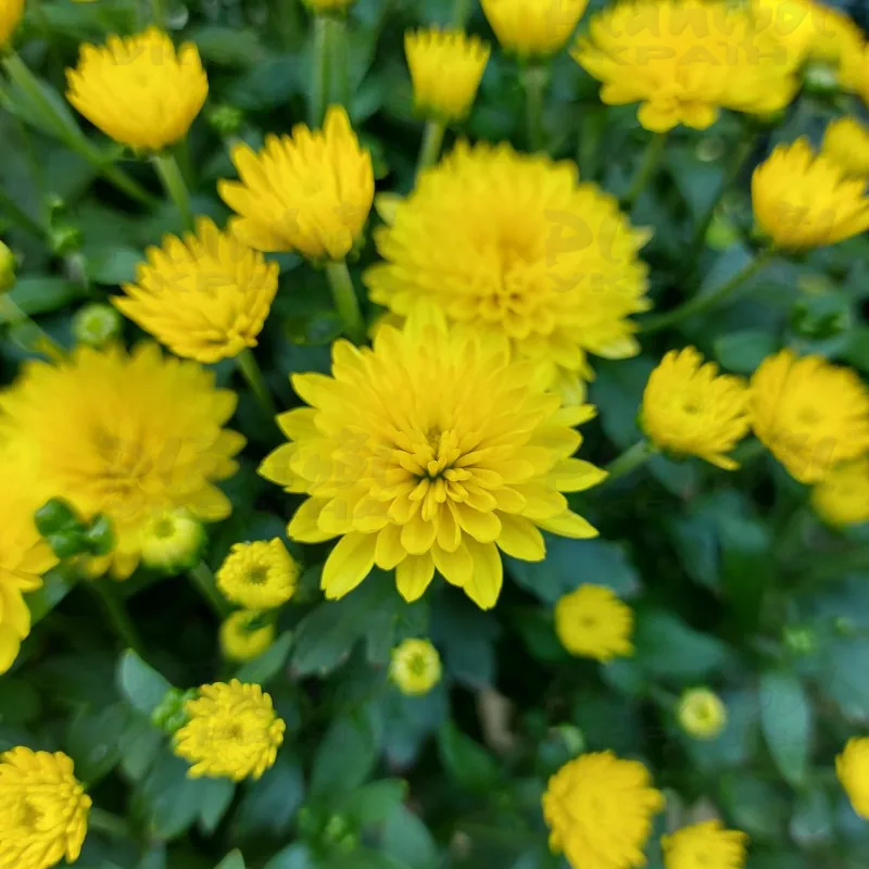 Фото 6